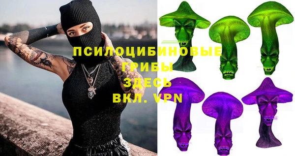 дурь Володарск