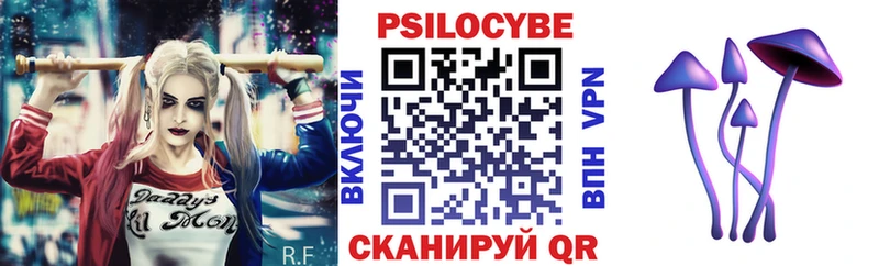 МЕГА онион  Долгопрудный  Псилоцибиновые грибы Psilocybe 